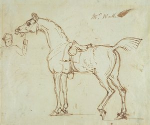 Un caballo de carreras, con brida y silla de James Seymour